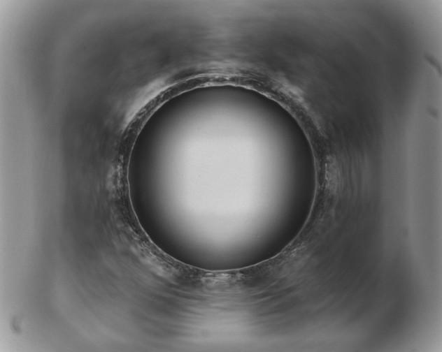 X0000102831352200808251124