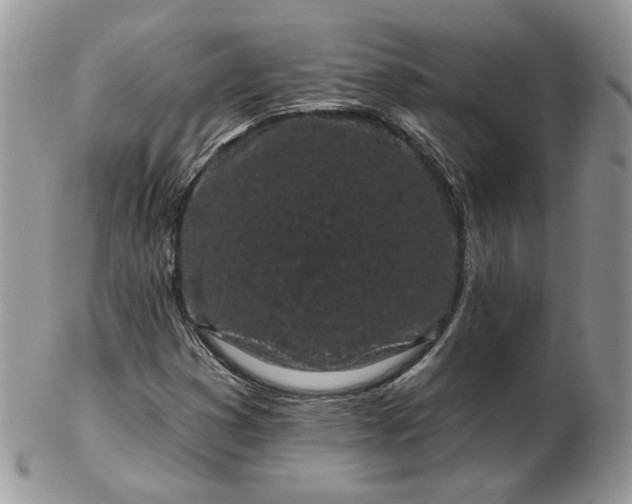 X0000102831353200808251124