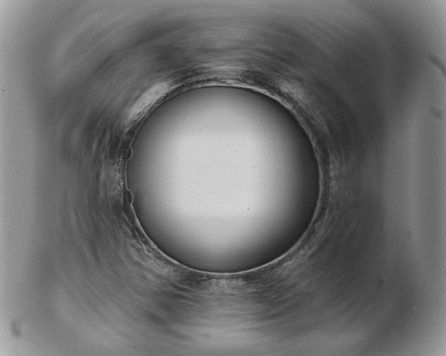 X0000102831354200808251124