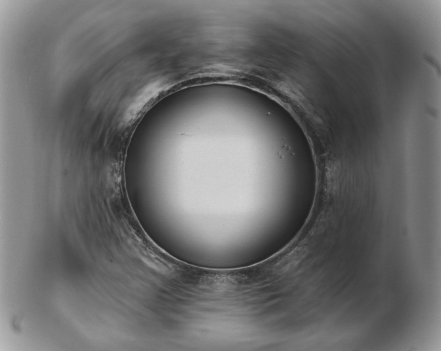 X0000102831355200808251124