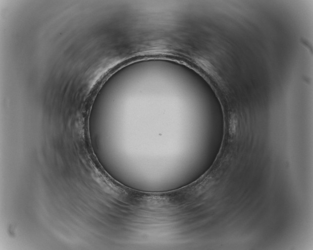 X0000102831356200808251124