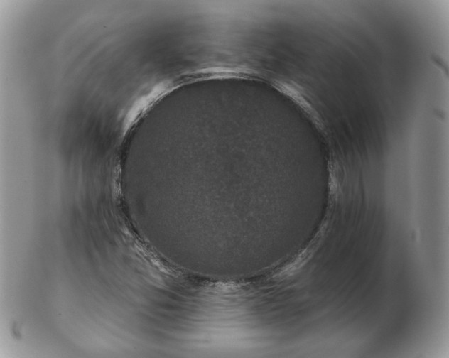 X0000102831357200808251124