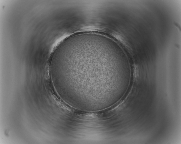 X0000102831358200808251124