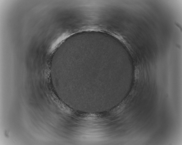 X0000102831359200808251124