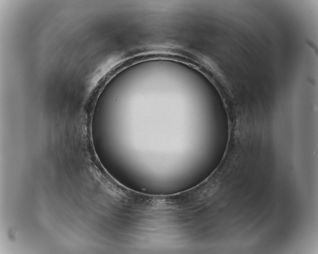 X0000102831360200808251124