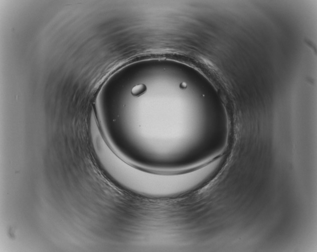 X0000102831361200808251124