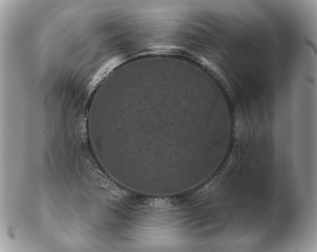 X0000102831362200808251124