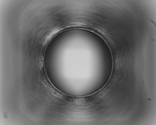 X0000102831363200808251124