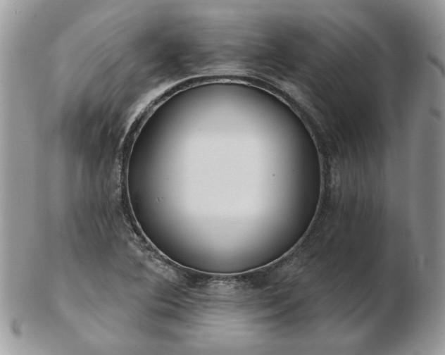 X0000102831364200808251124