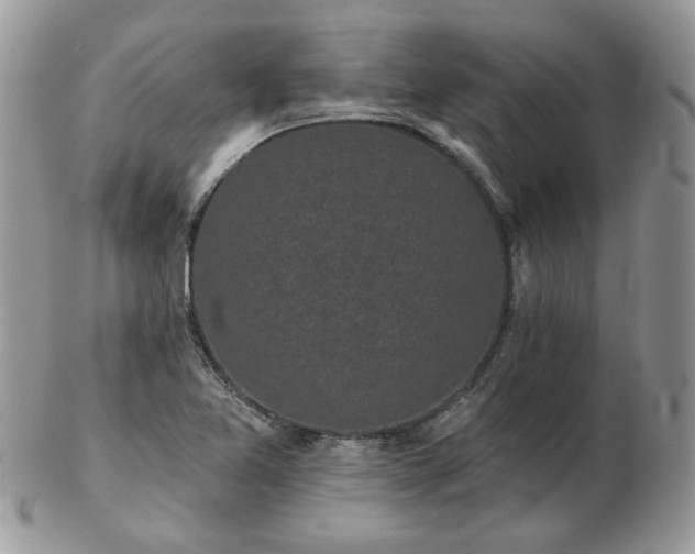 X0000102831365200808251124