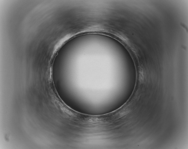 X0000102831366200808251124