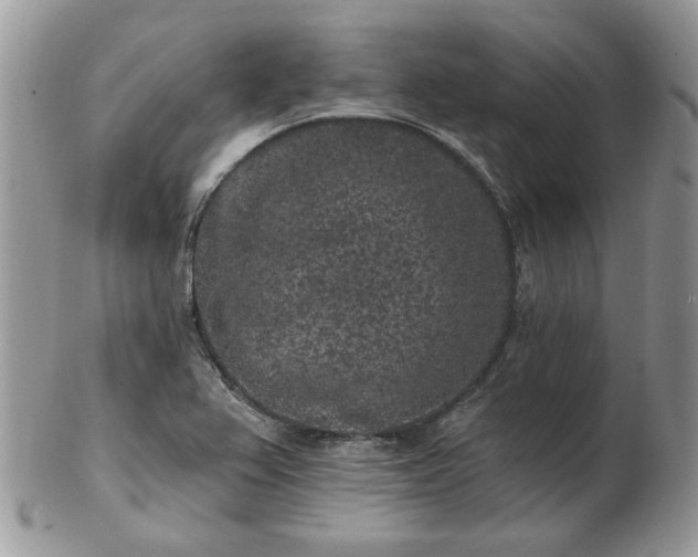 X0000102831367200808251124