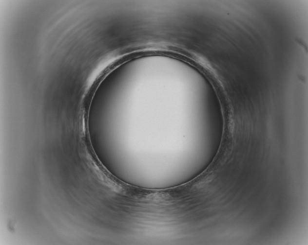 X0000102831368200808251124