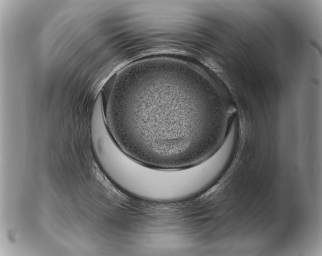 X0000102831369200808251124