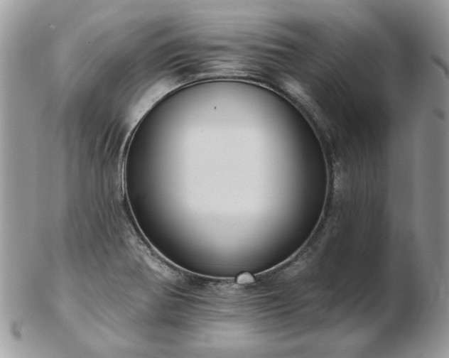 X0000102831370200808251124