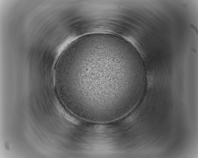 X0000102831371200808251124