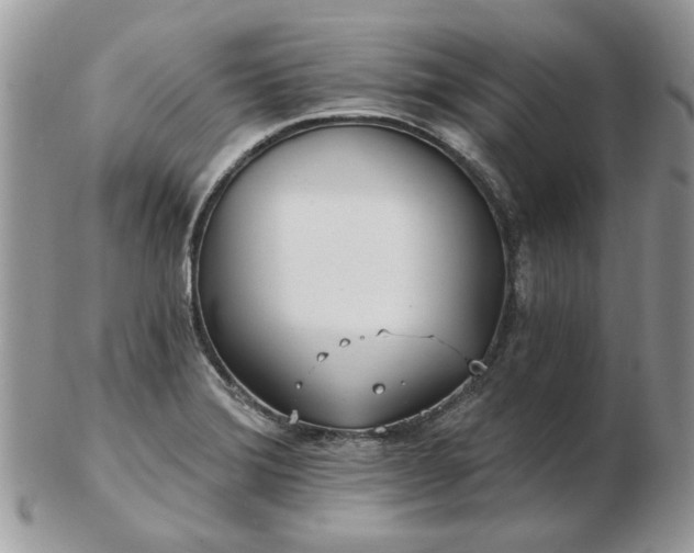 X0000102831372200808251124