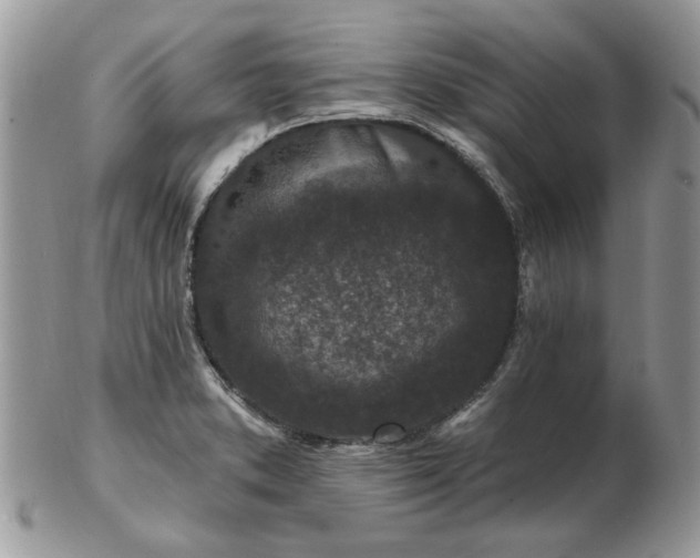 X0000102831373200808251124