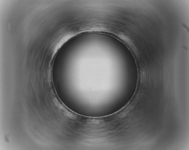 X0000102831374200808251124