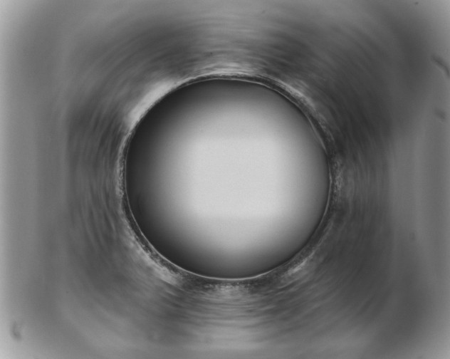 X0000102831375200808251124