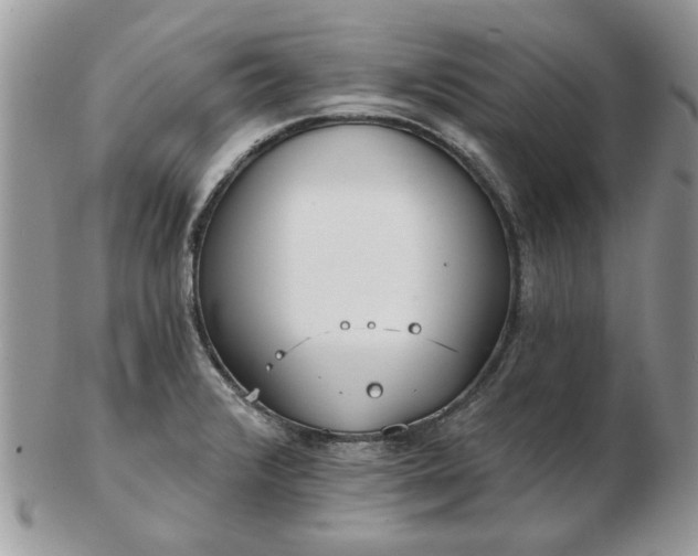 X0000102831376200808251124