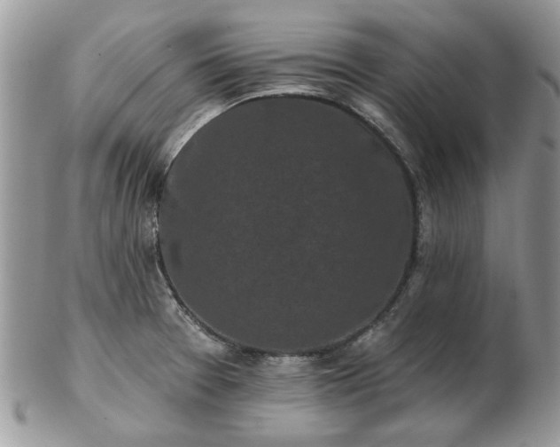 X0000102831377200808251124