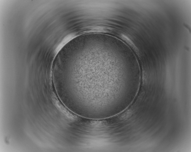 X0000102831378200808251124