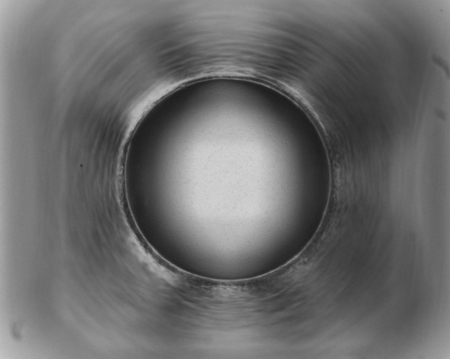 X0000102831379200808251124