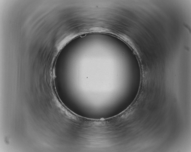 X0000102831381200808251124