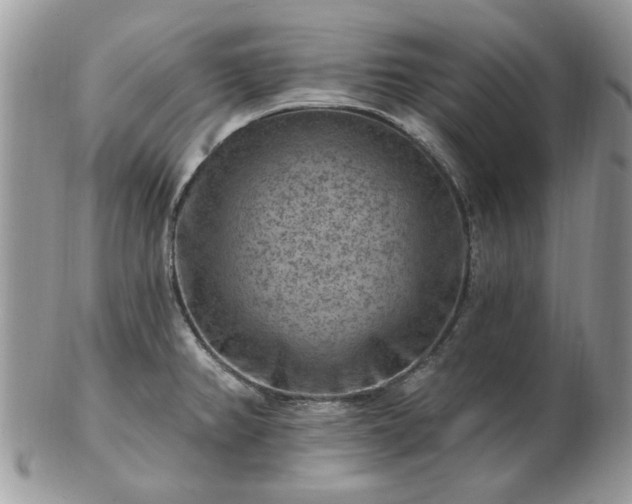 X0000102831382200808251124