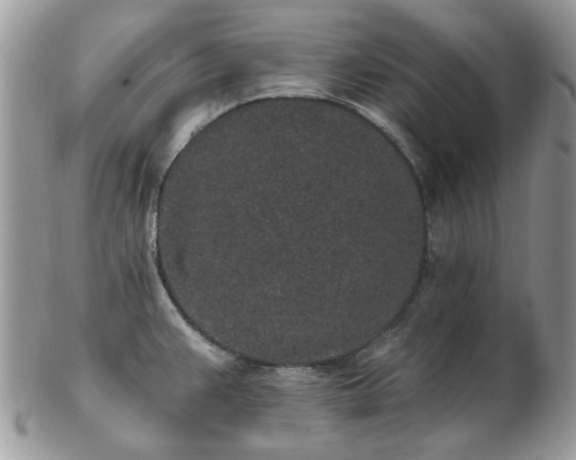 X0000102831383200808251124