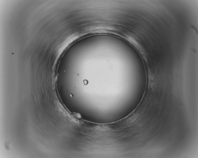 X0000102831384200808251124