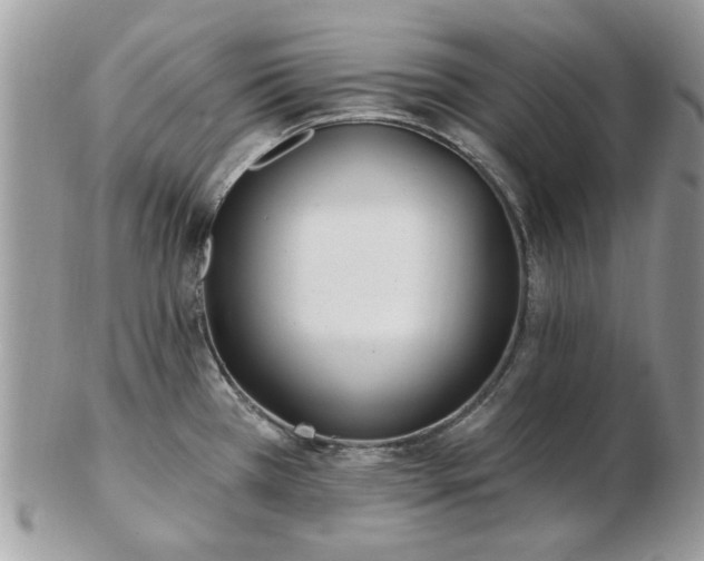 X0000102831385200808251124