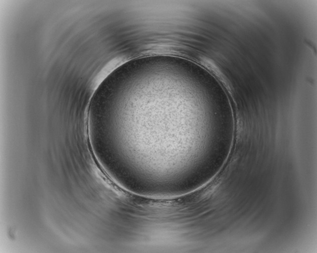 X0000102831386200808251124