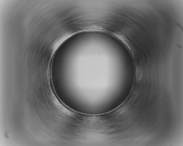 X0000102831387200808251124