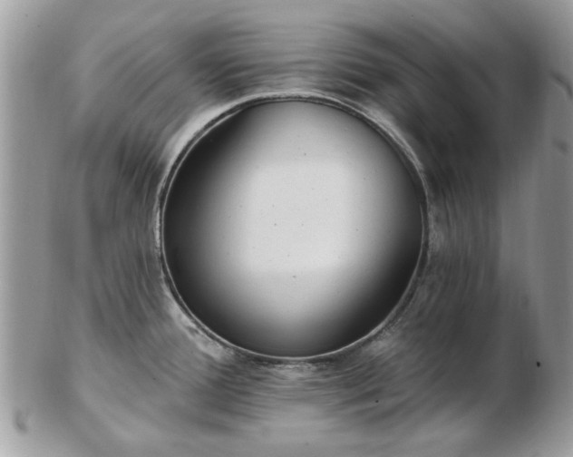 X0000102831388200808251124