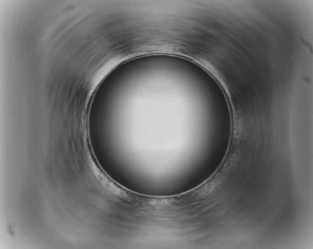 X0000102831389200808251124