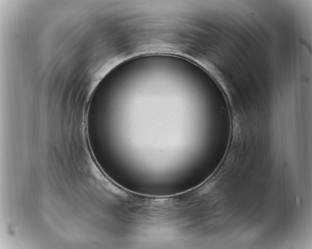 X0000102831390200808251124