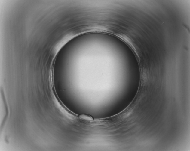 X0000102831391200808251124