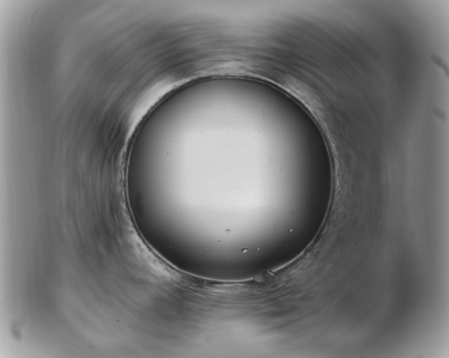 X0000102831392200808251124