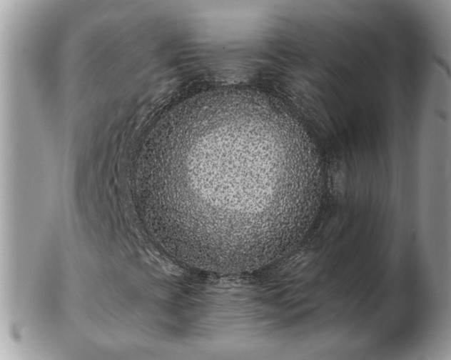 X0000102831393200808251123