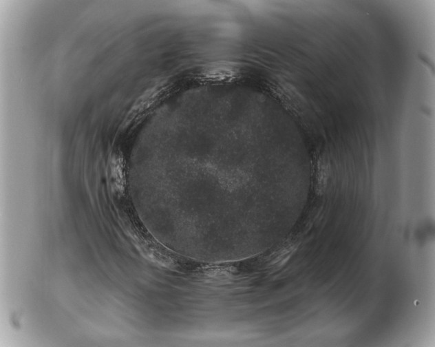 X0000102831394200808251123