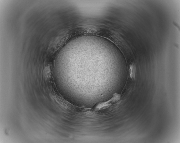 X0000102831395200808251123