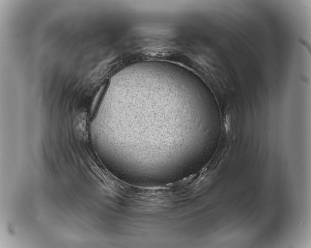 X0000102831396200808251123