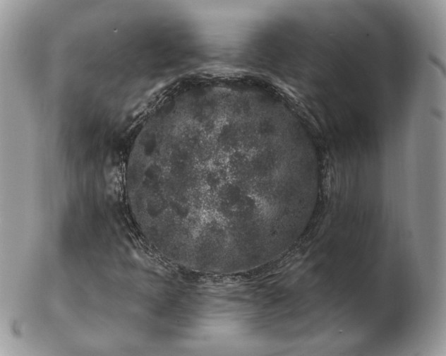 X0000102831397200808251123