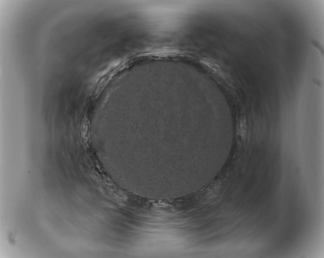 X0000102831398200808251123