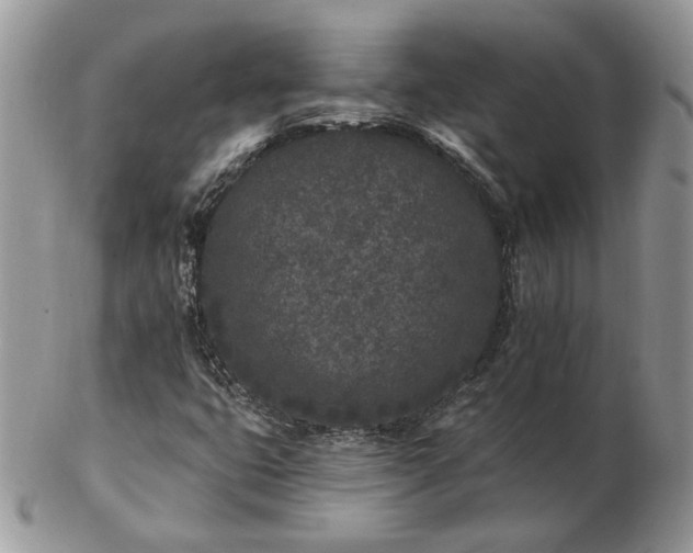 X0000102831399200808251123