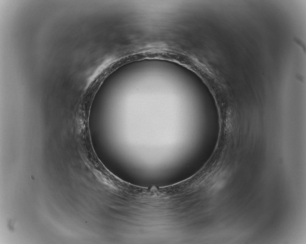 X0000102831400200808251123