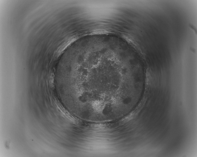 X0000102831401200808251123