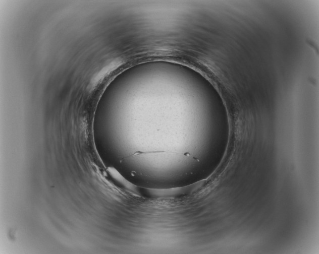 X0000102831402200808251123